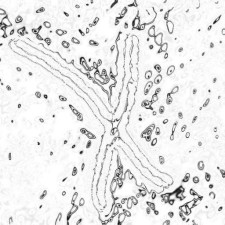 Avatar for Jon.Hannah from gravatar.com