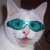 Avatar for mtearle from gravatar.com