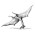 Avatar for texadactyl from gravatar.com