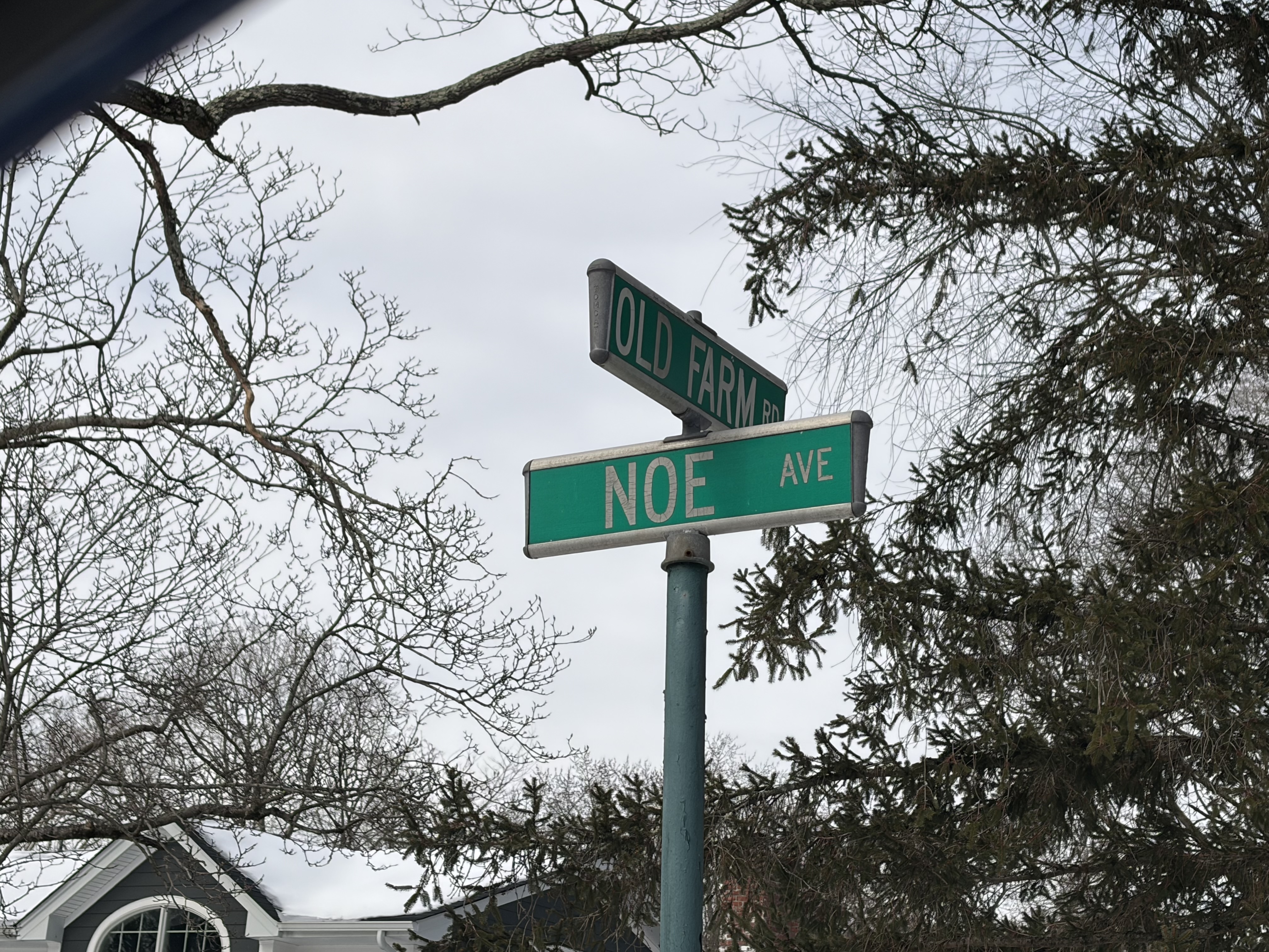 NOE Avenue