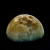 Avatar for sjarmak from gravatar.com