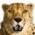 Avatar for samuelyip74 from gravatar.com