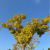 Avatar for ives_qian from gravatar.com