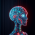 Avatar for aptsh018 from gravatar.com
