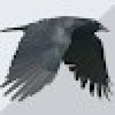 Avatar for Antonio from gravatar.com