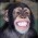 Avatar for geoffmunn from gravatar.com