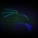 Avatar for Kala185 from gravatar.com