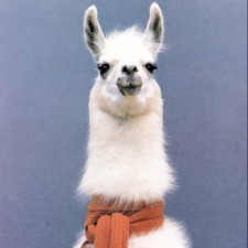 Avatar for Michael.Hart from gravatar.com