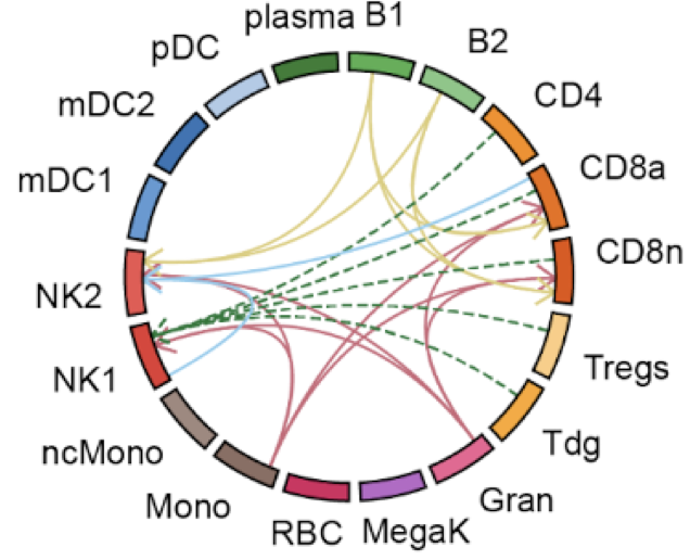 Cell-cell communication