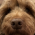 Avatar for Enderbyte09 from gravatar.com