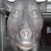 Avatar for nayetdet from gravatar.com