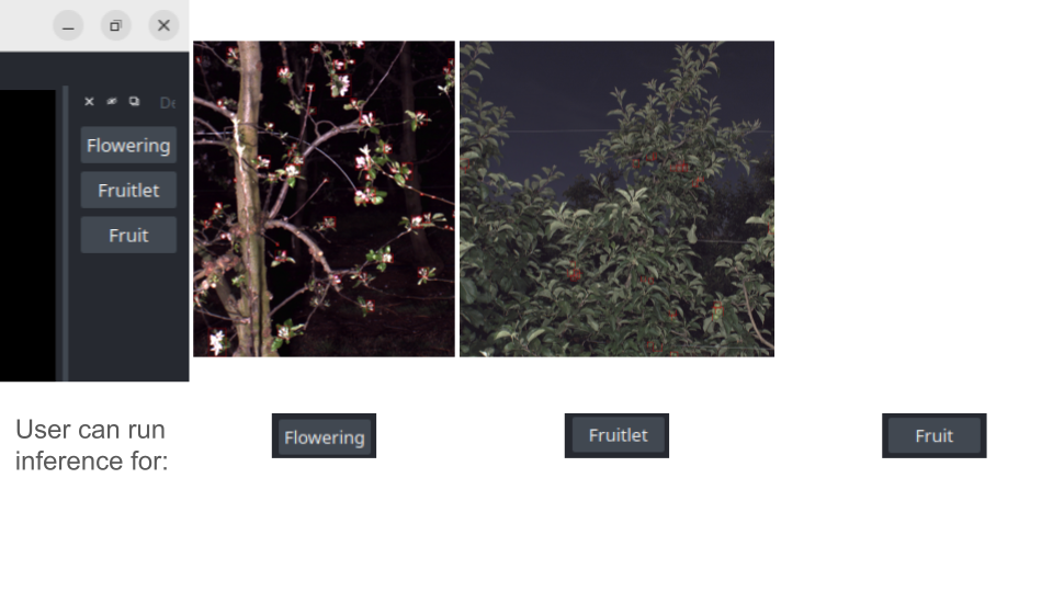 deepphenotree · PyPI
