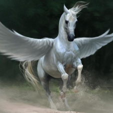 Avatar for nythepegasus from gravatar.com