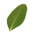 Avatar for kaalam from gravatar.com