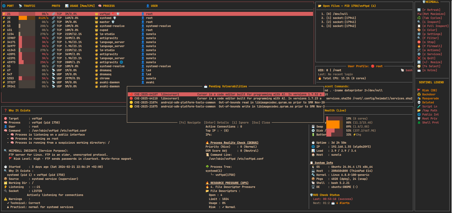 heimdall deep audit vulnerability runtime