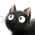 Avatar for paxonlee from gravatar.com