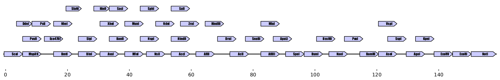 https://raw.githubusercontent.com/Edinburgh-Genome-Foundry/zymp/master/docs/_static/images/example_array.png