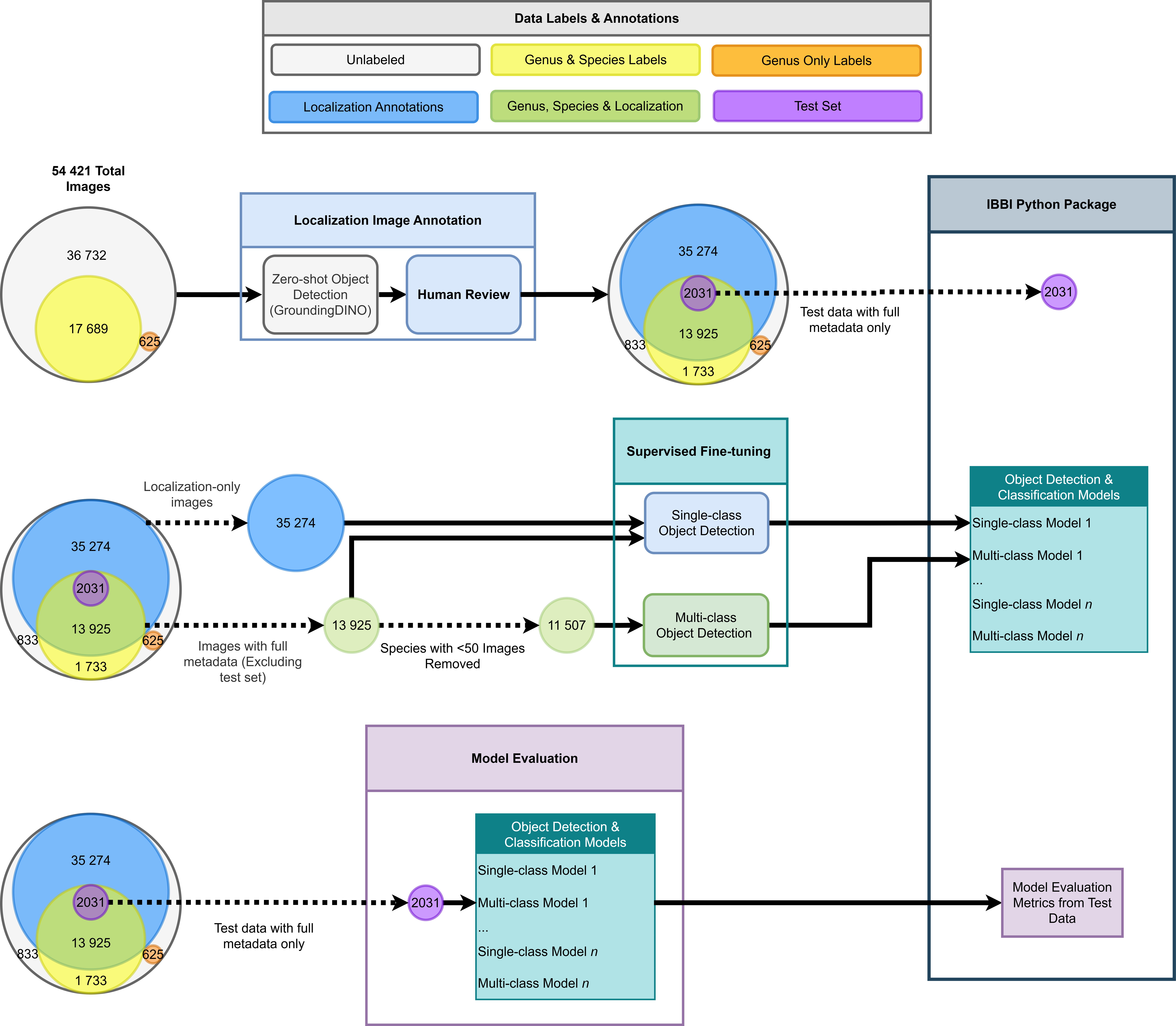 IBBI Data Flow
