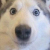 Avatar for kushalr3ddy from gravatar.com