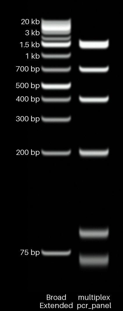 Multiplex panel at 4.0%