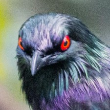 Avatar for Mark Matyas from gravatar.com