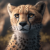 Avatar for cheetahbyte from gravatar.com