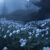 Avatar for sus2790 from gravatar.com