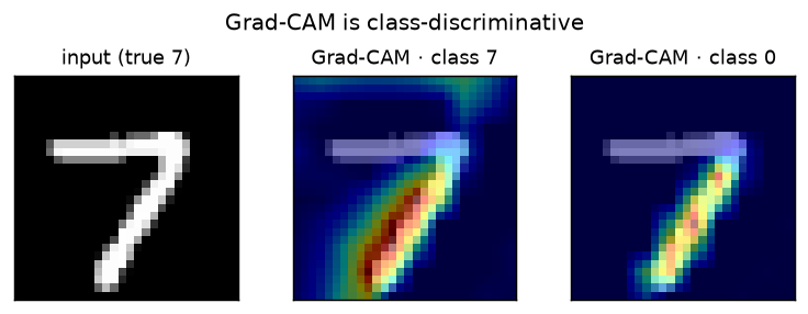 Grad-CAM for two different target classes on the same 7