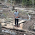 Avatar for nfulton from gravatar.com