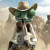 Avatar for timurp from gravatar.com