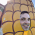 Avatar for raybuhr from gravatar.com