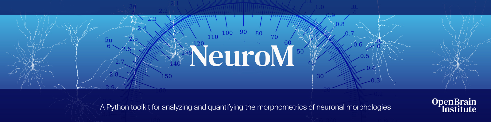 NeuroM Logo