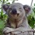 Avatar for gnahckire from gravatar.com