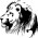 Avatar for daidong from gravatar.com