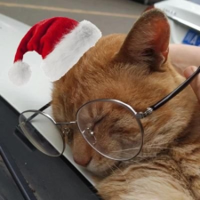 Avatar for Zhengyang Geng from gravatar.com