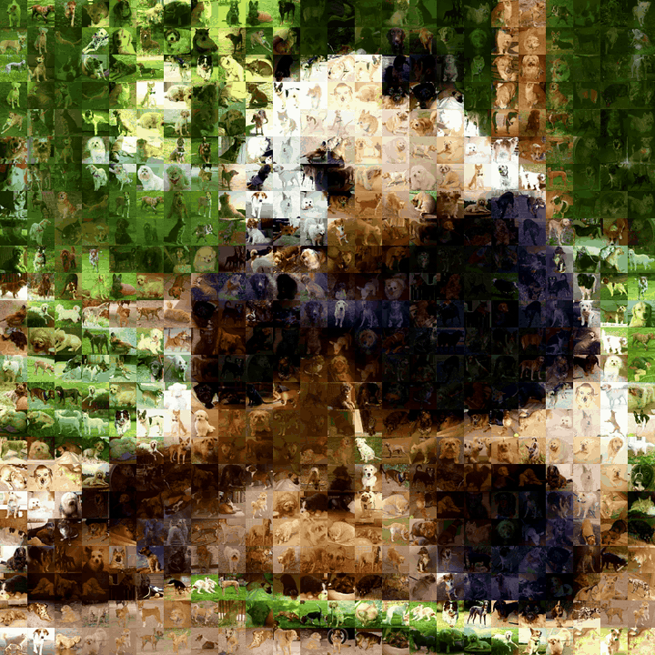 A panda clip rebuilt frame by frame from a folder of dog photos