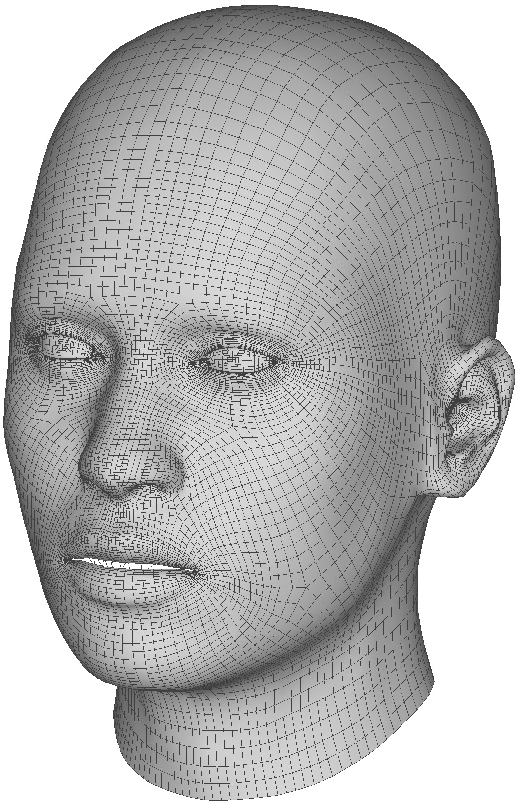 4D Face Model shape picture