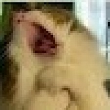 Avatar for BIGWONG from gravatar.com