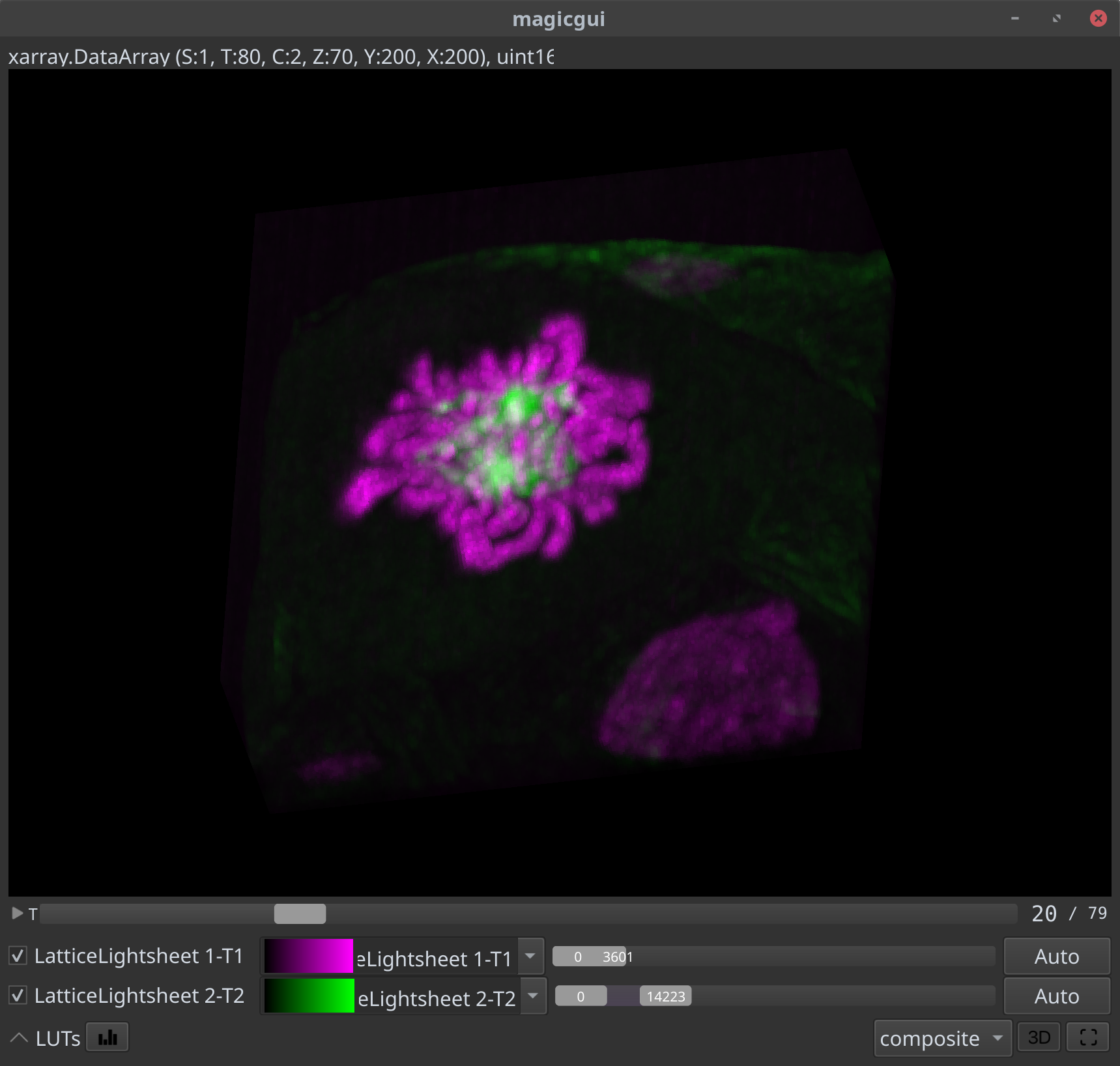 5D CZI inside NDV