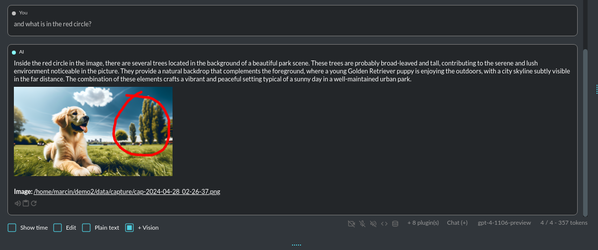 v2_mode_vision_upload