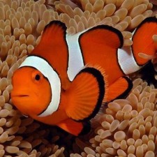 Avatar for michey from gravatar.com