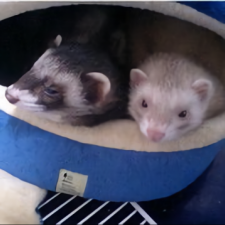 Avatar for Takanori Suzuki from gravatar.com