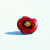 Avatar for minthigpen from gravatar.com