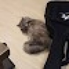 Avatar for MaxWellBest from gravatar.com