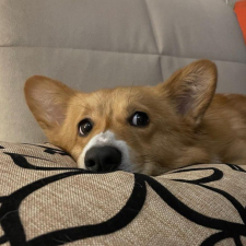 Avatar for Vlad from gravatar.com