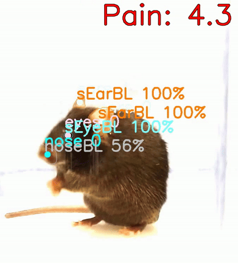 Baseline overlay