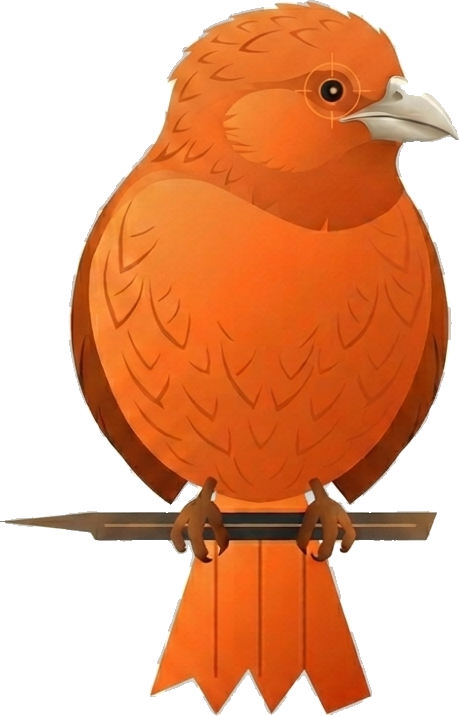 Dulus — Cigua Palmera
