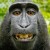 Avatar for jsobel1 from gravatar.com
