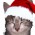 Avatar for Lendemor from gravatar.com