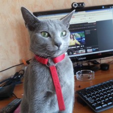 Avatar for Samuele Carcagno from gravatar.com